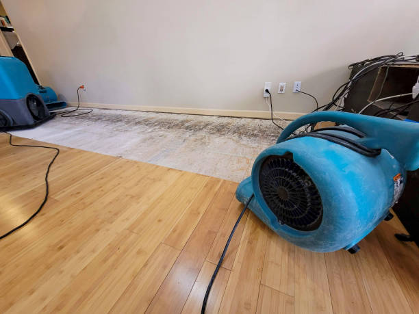 Professional Basement Flood Cleanup technician working in Groom, TX